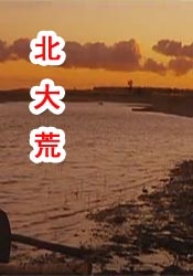 国产调教 vk