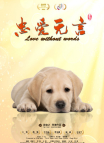 成人午夜在线观看